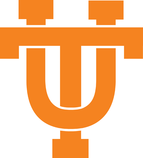 Tennessee Volunteers 1983-2000 Alternate Logo iron on transfers for fabric